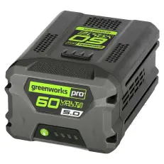 Greenworks GD60SS2 с АКБ 5 А.ч., без ЗУ