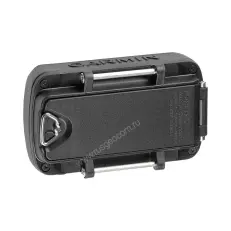 Garmin Foretrex 601