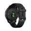 smart Часы Garmin Venu черные с серым безелем