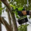Greenworks G24CS15 24V (15см), с АКБ 2 Ач с USB + ЗУ - аккумуляторная цепная пила