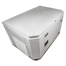 FUBAG BS 7500 A ES DUPLEX в супертихом зимнем кожухе 1400SS RAL 7035 - бензиновый генератор