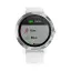 часы для спорта Garmin Vivoactive 3 серебристые с белым ремешком