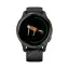 Часы Garmin Venu черные с серым безелем