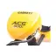 Garrett ACE 300i