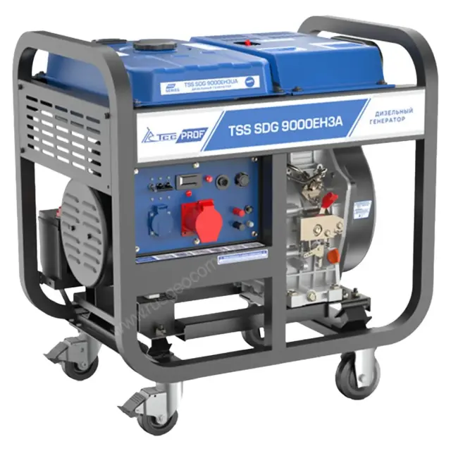 генератор TSS SDG 9000EH3A