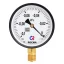 ТМВ-310Р.00 (-0,1-0,5МРа) M12x1.5.2,5 - мановакуумметр с поверкой