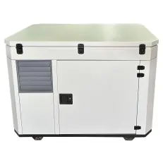 FUBAG BS 11000 A ES в тихом зимнем кожухе 1600 RAL 7035 - бензиновый генератор