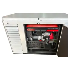 FUBAG BS 14000 A ES в супертихом зимнем кожухе 1700SS RAL 7035 - бензиновый генератор