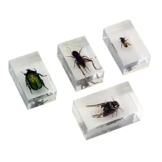 Набор насекомых 2 в акриле _1