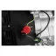 Elitech HD PROFESSIONAL GSC 500L - бензиновый швонарезчик