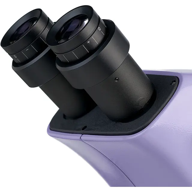 MAGUS Stereo D9T - стереоскопический цифровой микроскоп