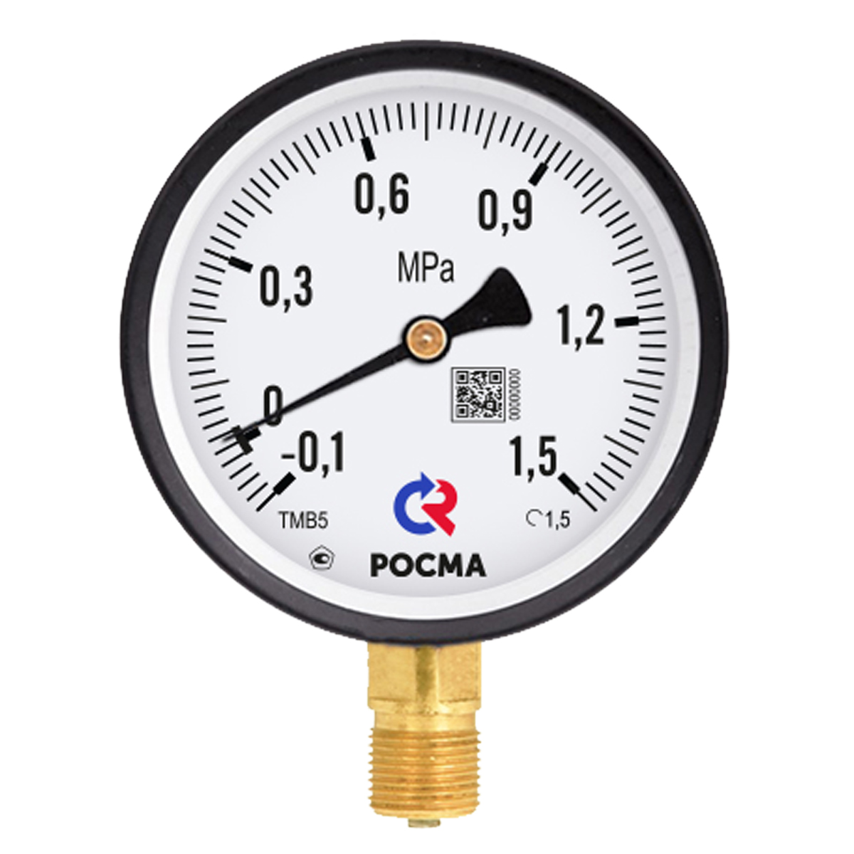 ТМВ-310Р.00 (-0,1-0,5МРа) M12x1.5.2,5 - мановакуумметр с поверкой