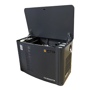 CTG CG18000SA - газовый генератор