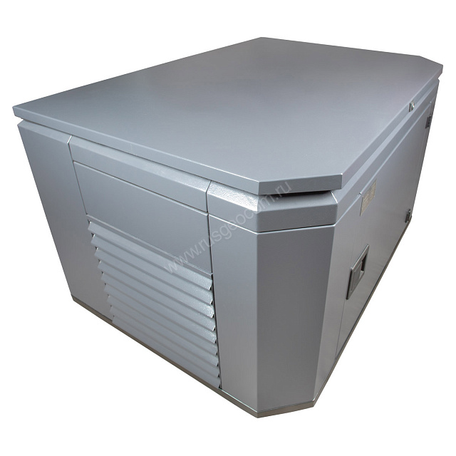 SUNREKA G6500EAX в тихом зимнем кожухе 1200 RAL 7024 - бензиновый генератор