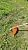 STIHL FS 120 - бензиновый триммер