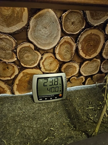 Testo 608-H2 - термогигрометр